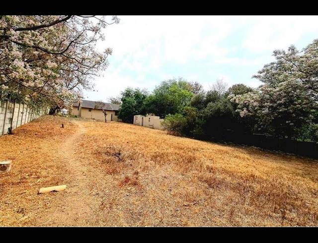 LAND FOR SALE IN FERNDALE